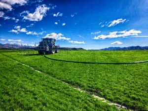 Umbilical Slurry System